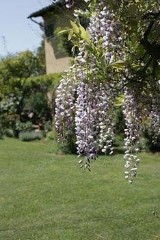 סקנדיצ'י Villa Malavolta מראה חיצוני תמונה