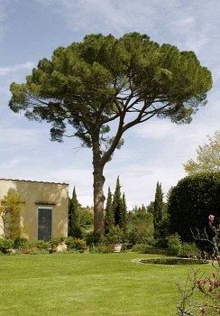 סקנדיצ'י Villa Malavolta מראה חיצוני תמונה